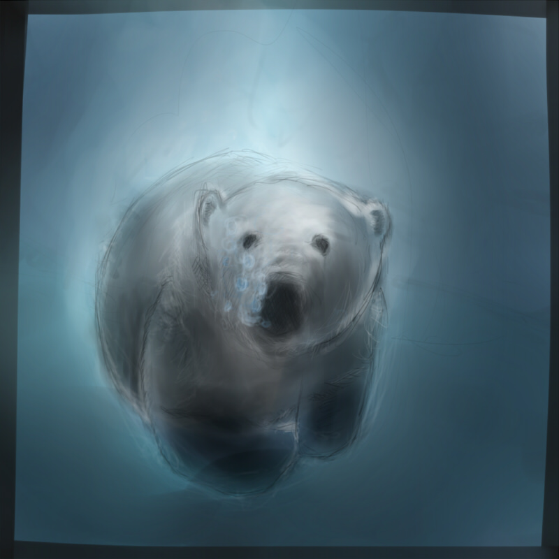 polar bear was fuzzy wuzzy
