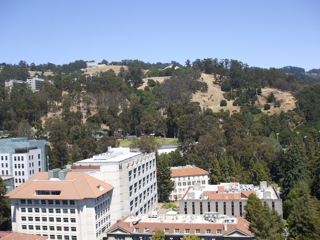 pixar internship summer berkeley