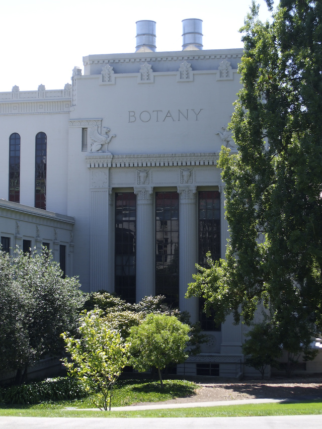 pixar internship summer berkeley