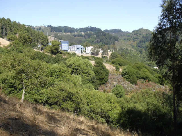 pixar internship summer berkeley