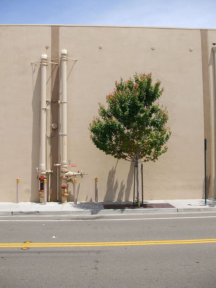emeryville pixar california summer internship