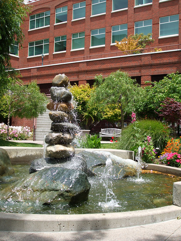 emeryville pixar california summer internship