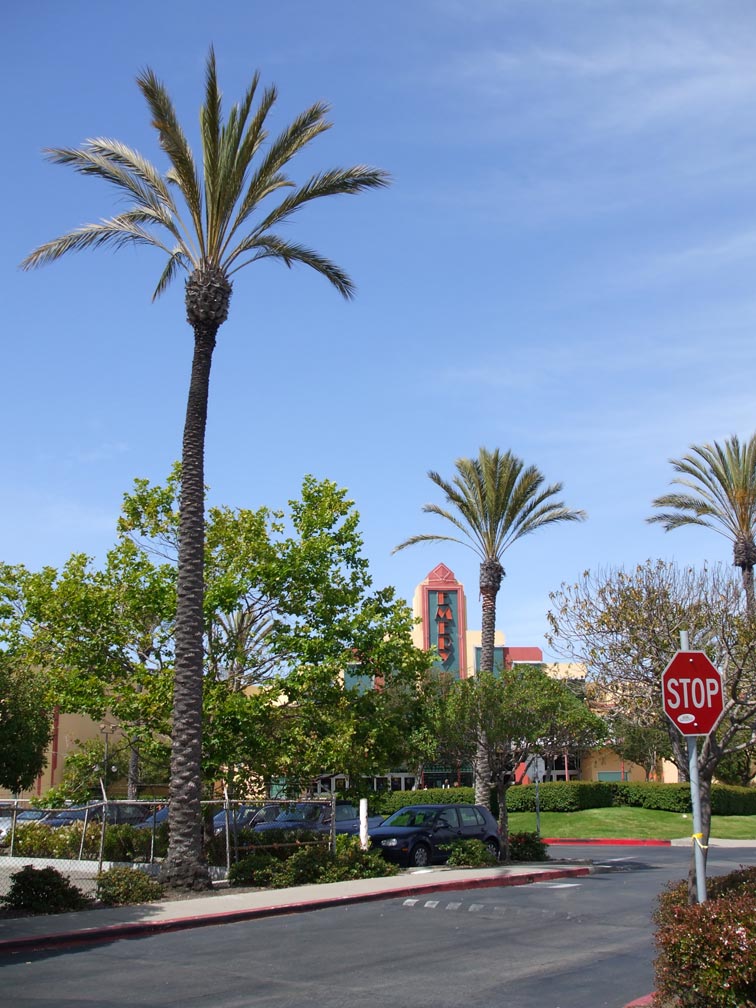 emeryville pixar california summer internship