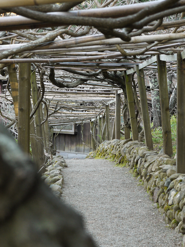 hakone japanese gardens saratoga