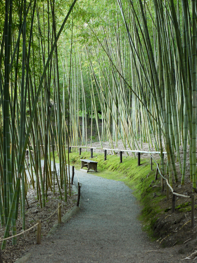hakone japanese gardens saratoga