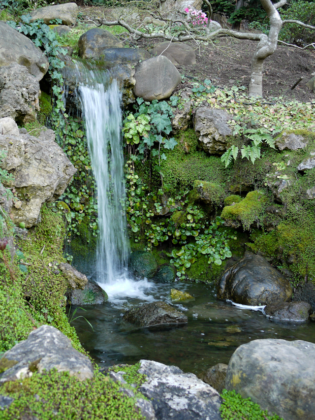 hakone japanese gardens saratoga