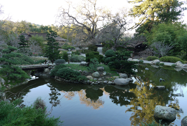 hakone japanese gardens saratoga