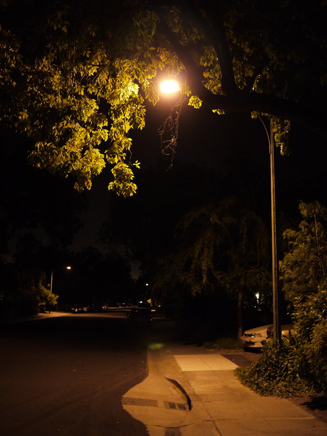 palo alto night life