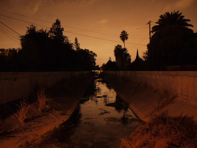 palo alto night life