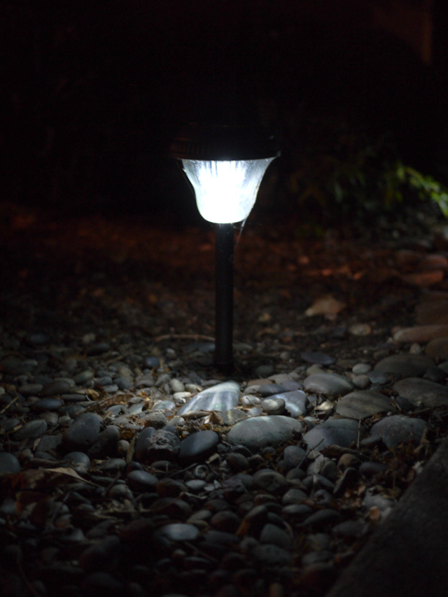 palo alto night life