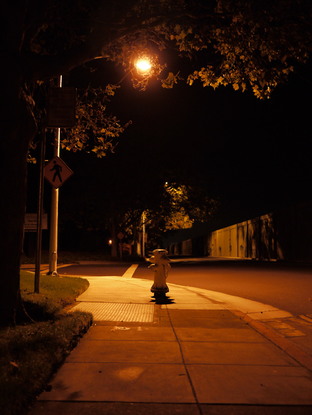 palo alto night life