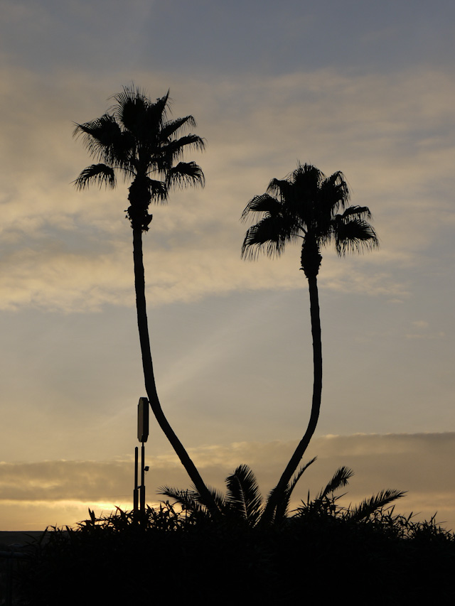 los angeles