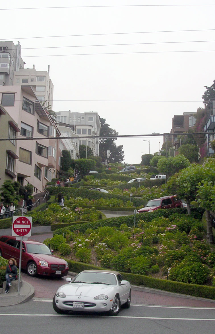 san francisco fran winding road pixar california summer internship