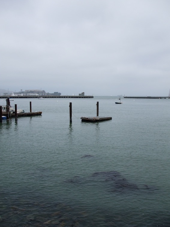 pixar internship san francisco golden gate bridge