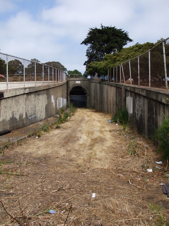 pixar internship san francisco golden gate bridge
