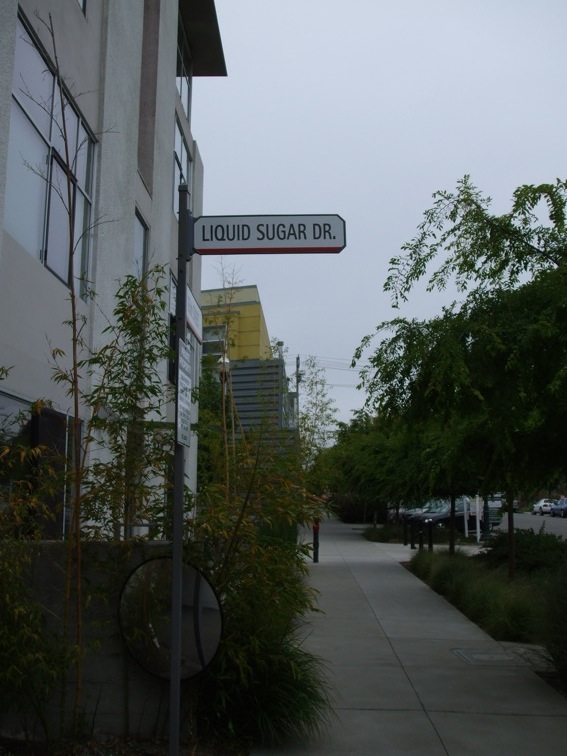 pixar internship san francisco golden gate bridge