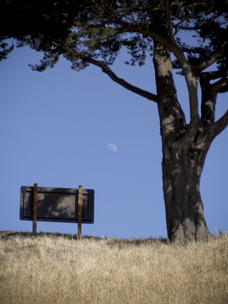 pixar internship summer san francisco
