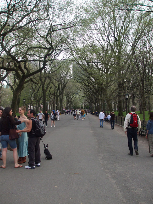 ny new york 2010 trip
