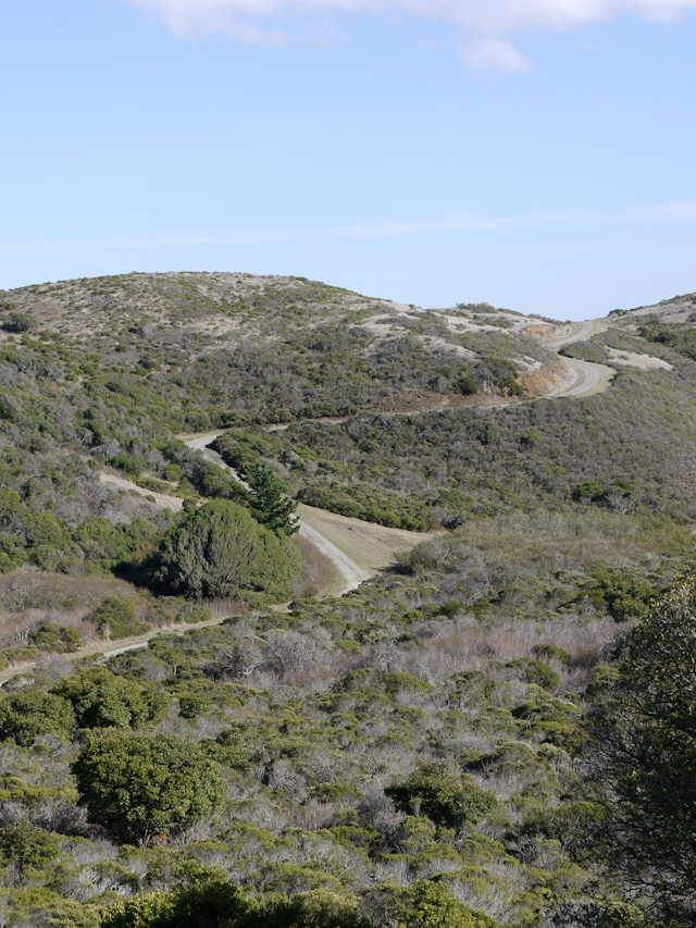 sweeney ridge trail hiking