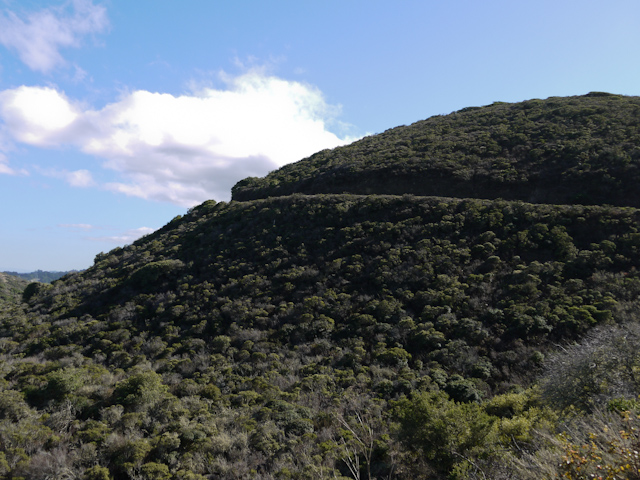 sweeney ridge trail hiking