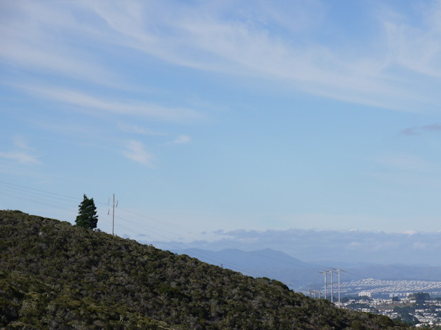 sweeney ridge trail hiking