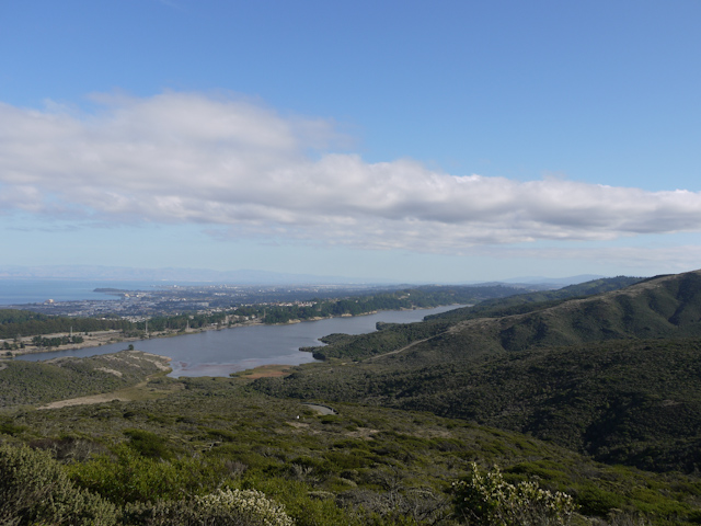 sweeney ridge trail hiking
